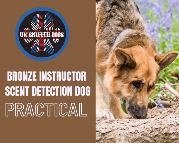 Bronze instructor course