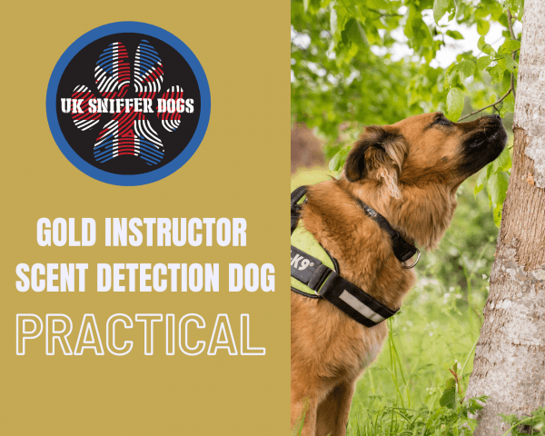 Gold instructor course