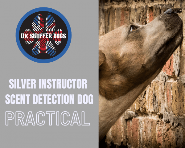 Silver instructor course